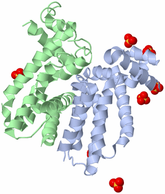 Image Biological Unit 1