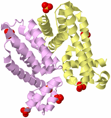 Image Biological Unit 2