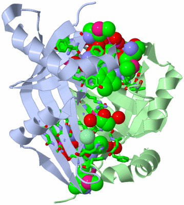 Image Asym./Biol. Unit - sites