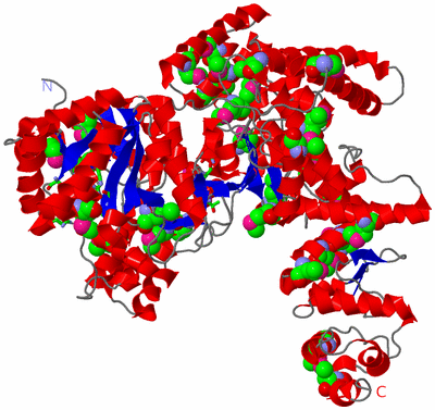 Image Asym./Biol. Unit - sites