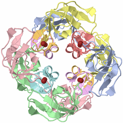 Image Biological Unit 5