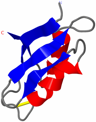 Image NMR Structure - model 1
