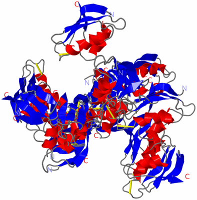 Image NMR Structure - all models