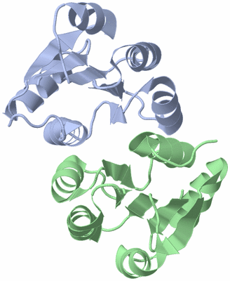 Image NMR Structure - model 1