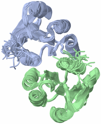 Image NMR Structure - all models