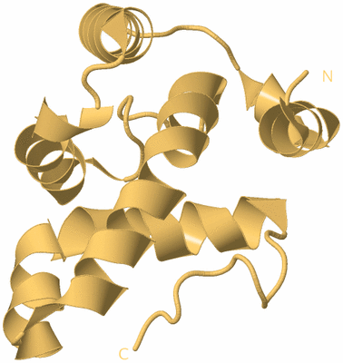 Image Biological Unit 7