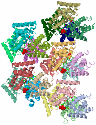 Image Asym. Unit - sites