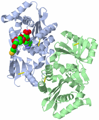 Image Asym./Biol. Unit