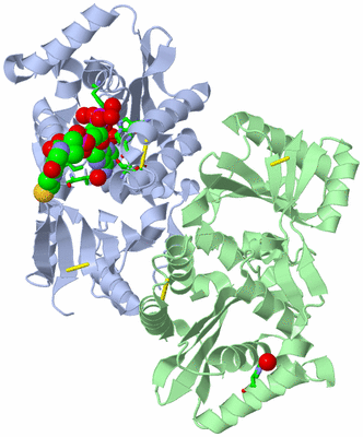 Image Asym./Biol. Unit - sites