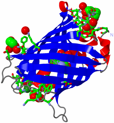 Image Asym./Biol. Unit - sites