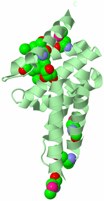 Image Biological Unit 2