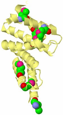 Image Biological Unit 4