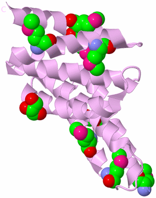 Image Biological Unit 5