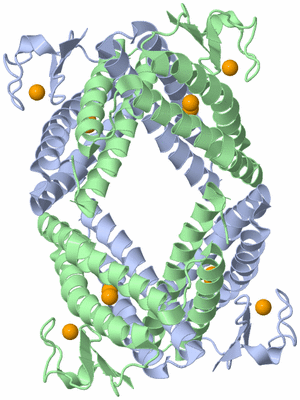 Image Biological Unit 2