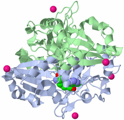 Image Biological Unit 1