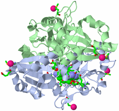 Image Biol. Unit 1 - sites