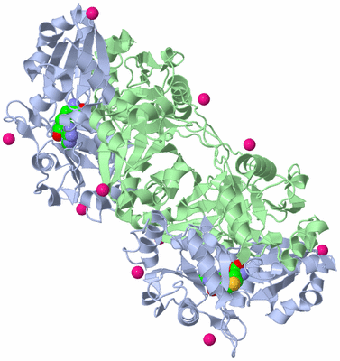 Image Biological Unit 2