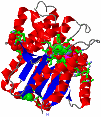 Image Asym./Biol. Unit - sites