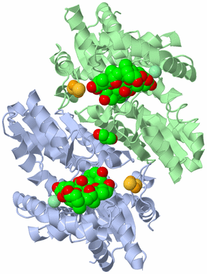 Image Asym./Biol. Unit