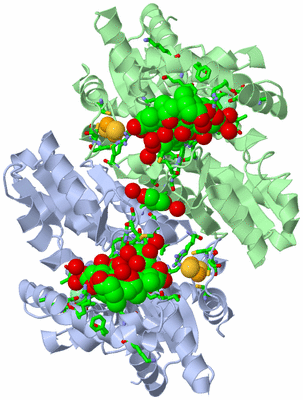 Image Asym./Biol. Unit - sites