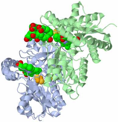 Image Biological Unit 1