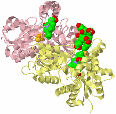 Image Biological Unit 2