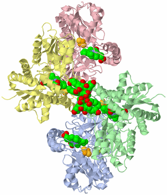 Image Biological Unit 3