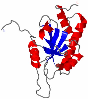 Image NMR Structure - model 1