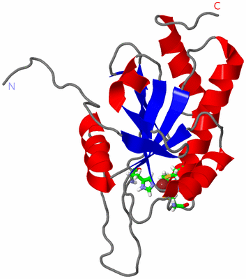 Image NMR Structure - model 1, sites