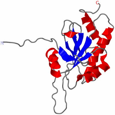 Image NMR Structure - model 1