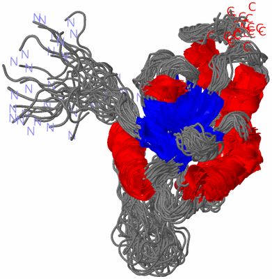 Image NMR Structure - all models