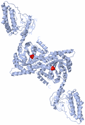 Image Biological Unit 1