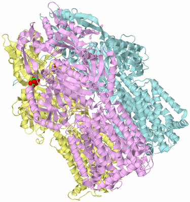 Image Biological Unit 2