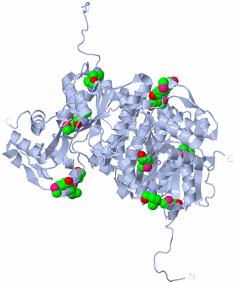 Image Biological Unit 1