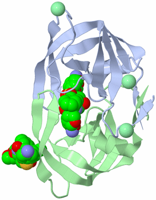 Image Asym./Biol. Unit