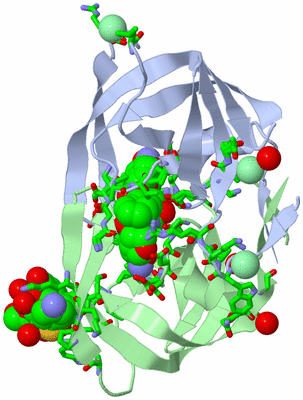 Image Asym./Biol. Unit - sites