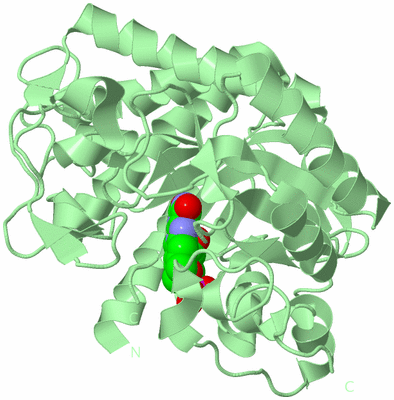 Image Biological Unit 2