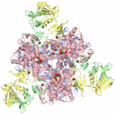 Image Biological Unit 1