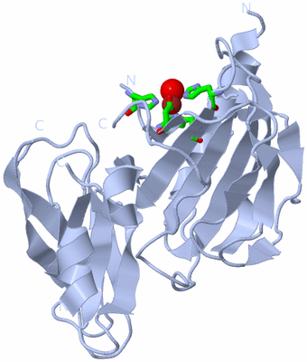 Image Biol. Unit 1 - sites