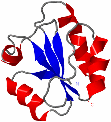 Image NMR Structure - model 1