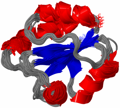 Image NMR Structure - all models