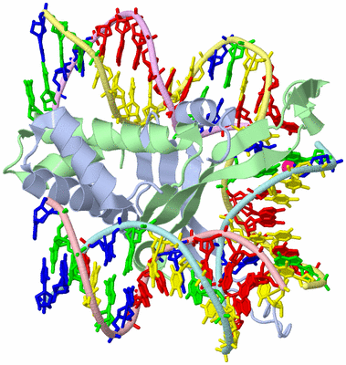 Image Asym./Biol. Unit