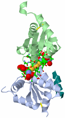 Image Asym./Biol. Unit - sites