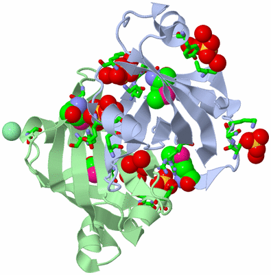 Image Asym./Biol. Unit - sites