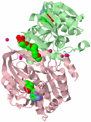 Image Biological Unit 2