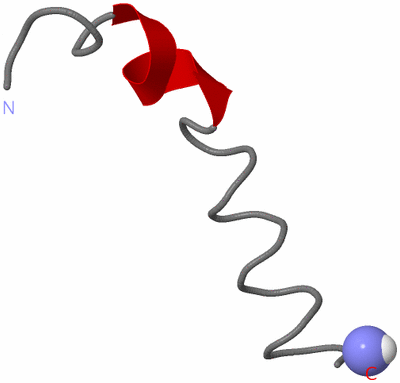 Image NMR Structure - model 1