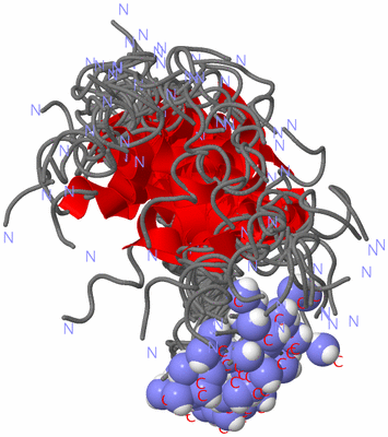 Image NMR Structure - all models