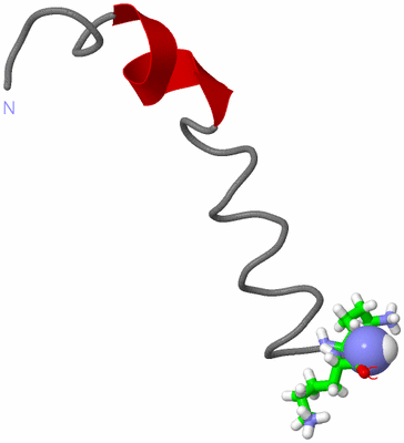 Image NMR Structure - model 1, sites