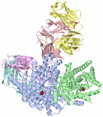 Image Asym./Biol. Unit