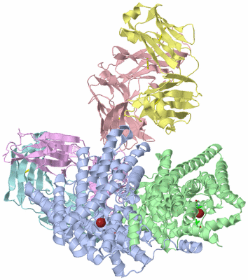 Image Asym./Biol. Unit - sites